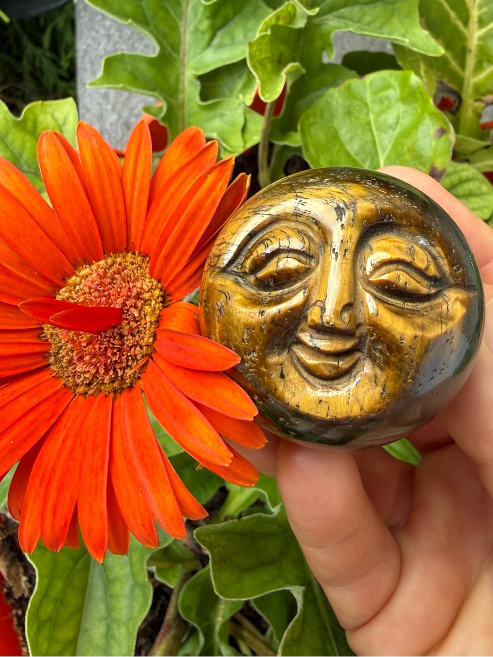 Tiger Eye Carved Moon Face with wooden stand